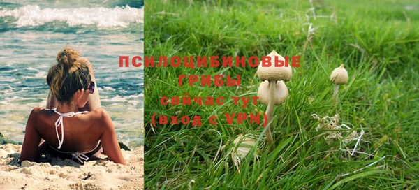 мдпв Няндома