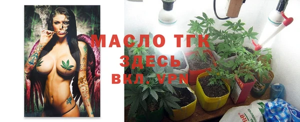 мдпв Няндома