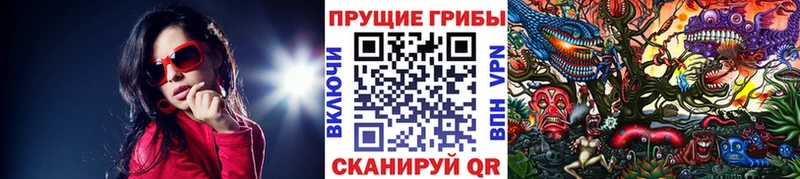 Галлюциногенные грибы Psilocybine cubensis Волгоград