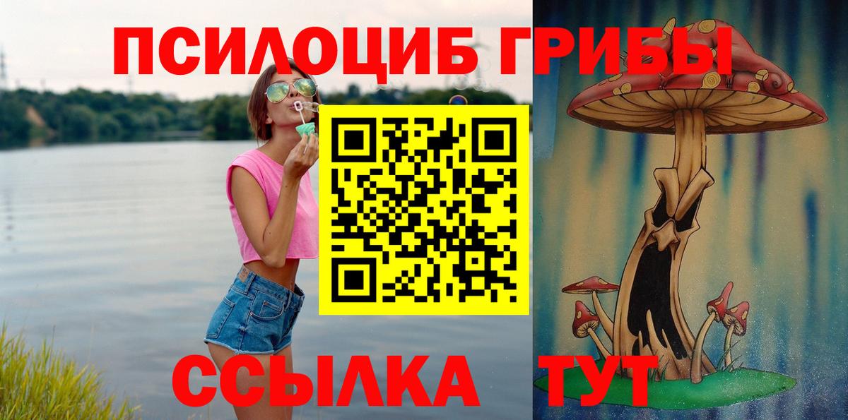 наркошоп  Волгоград  Псилоцибиновые грибы мицелий  Псилоцибиновые грибы мицелий 